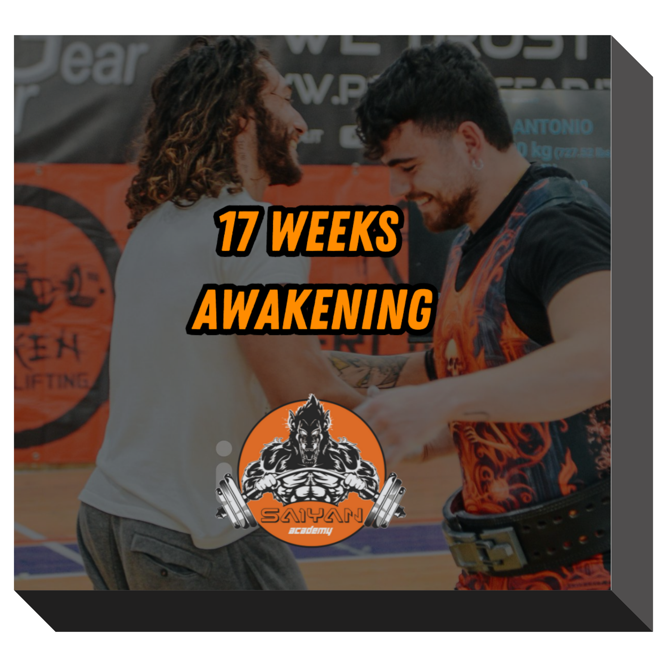 17 WEEKS AWAKENING