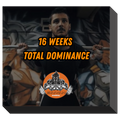 16 WEEKS TOTAL DOMINANCE
