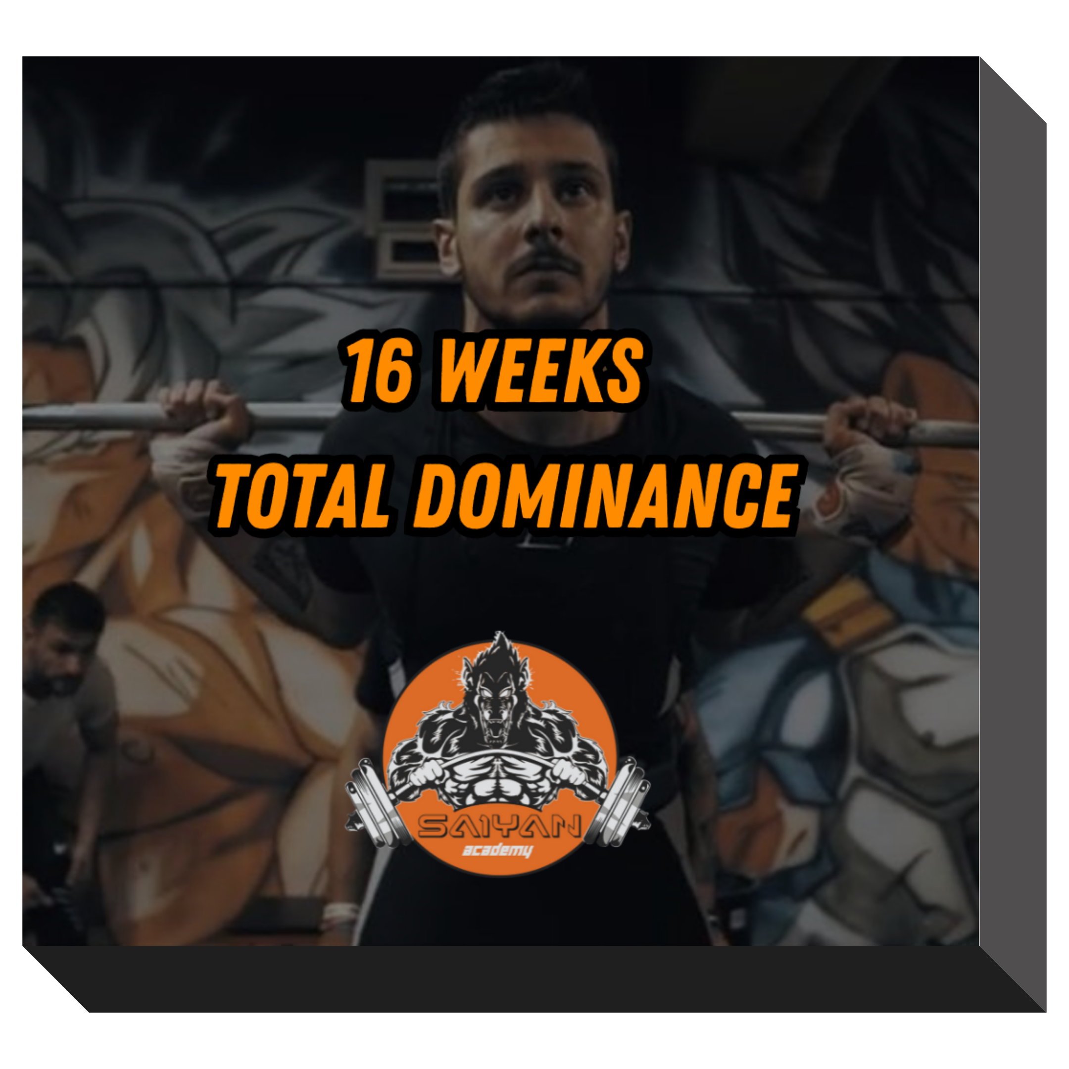 16 WEEKS TOTAL DOMINANCE