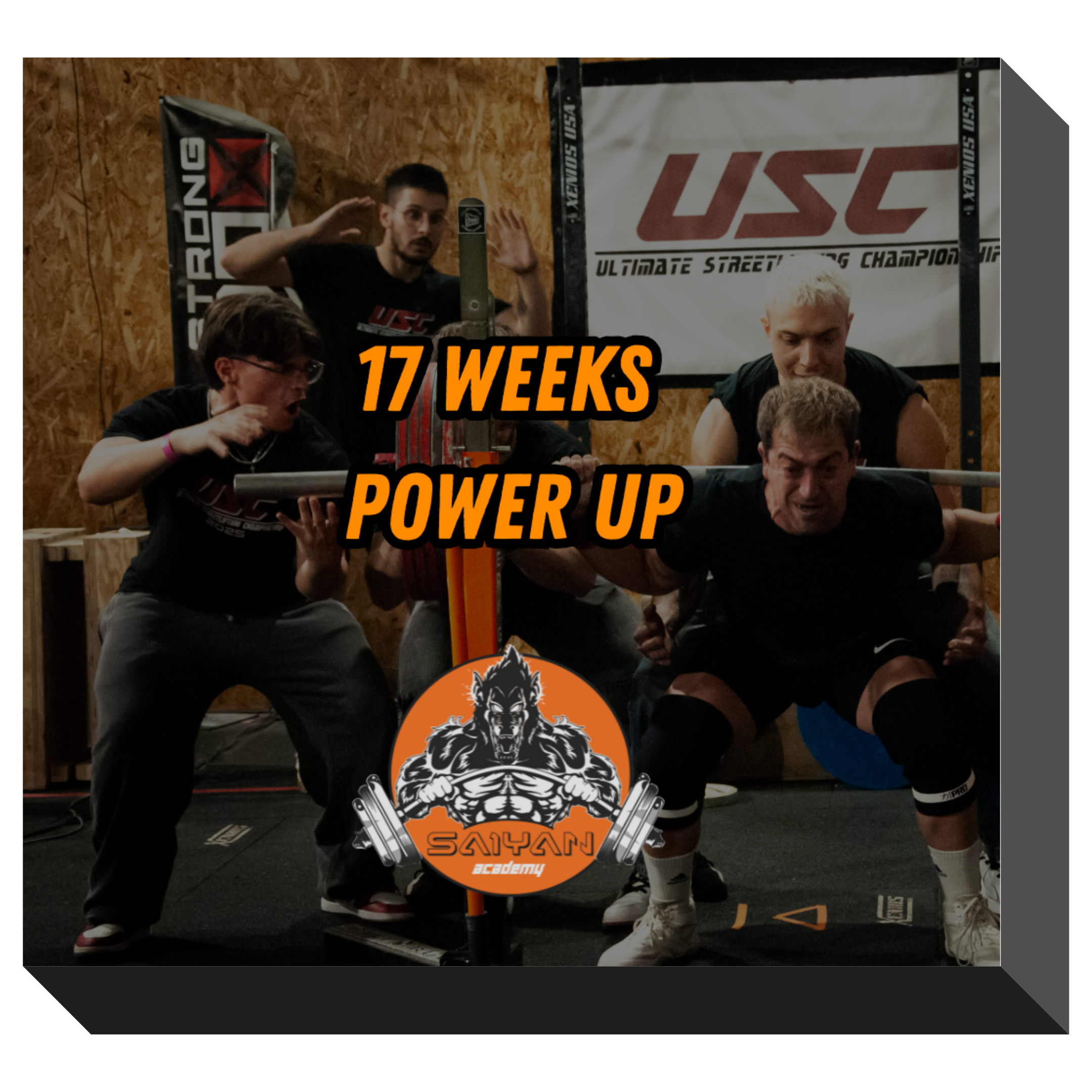 17 WEEKS POWER UP