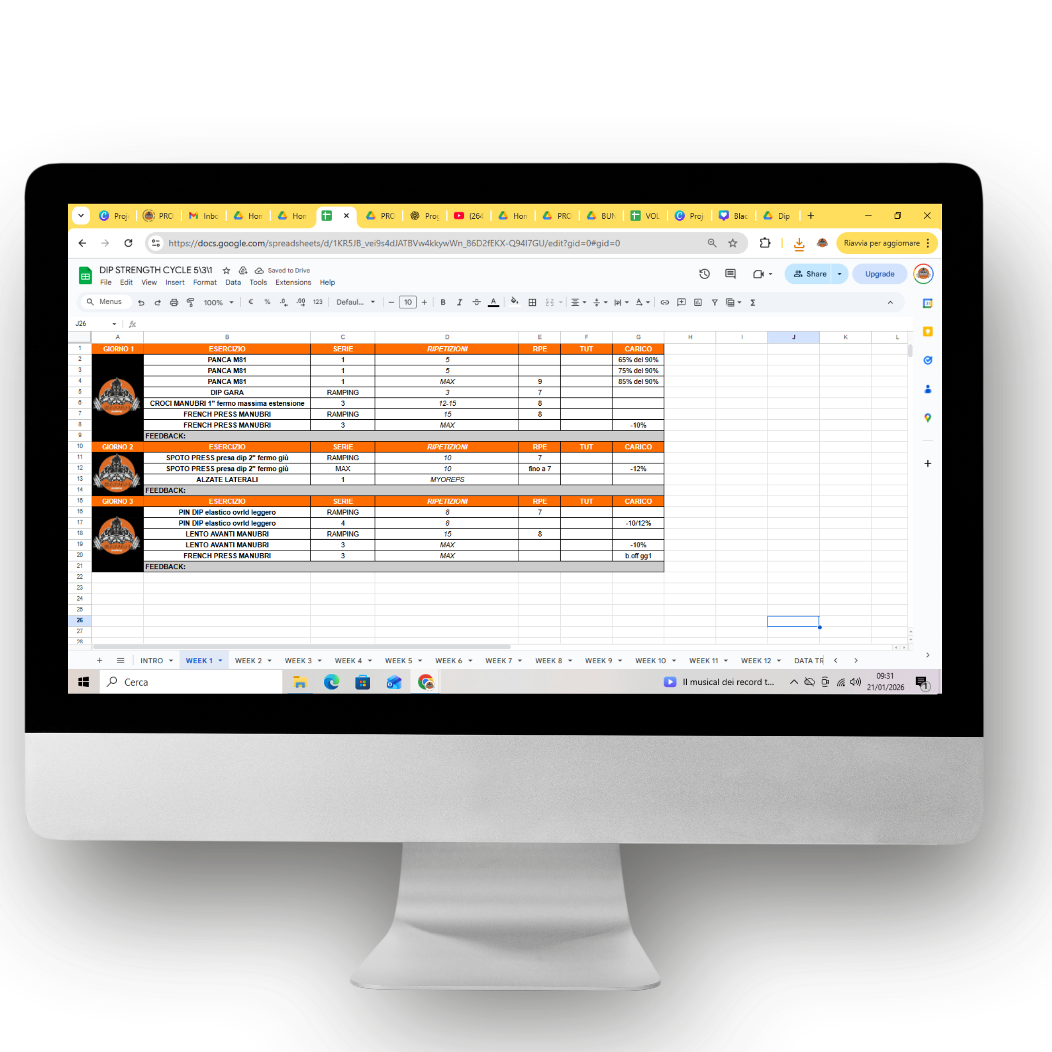 12 WEEKS DIP STRENGTH CYCLE 5\3\1