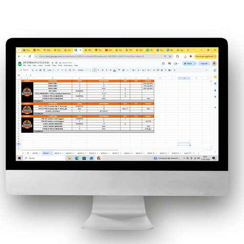 12 WEEKS DIP STRENGTH CYCLE 5\3\1