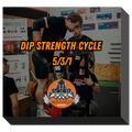 12 WEEKS DIP STRENGTH CYCLE 5\3\1