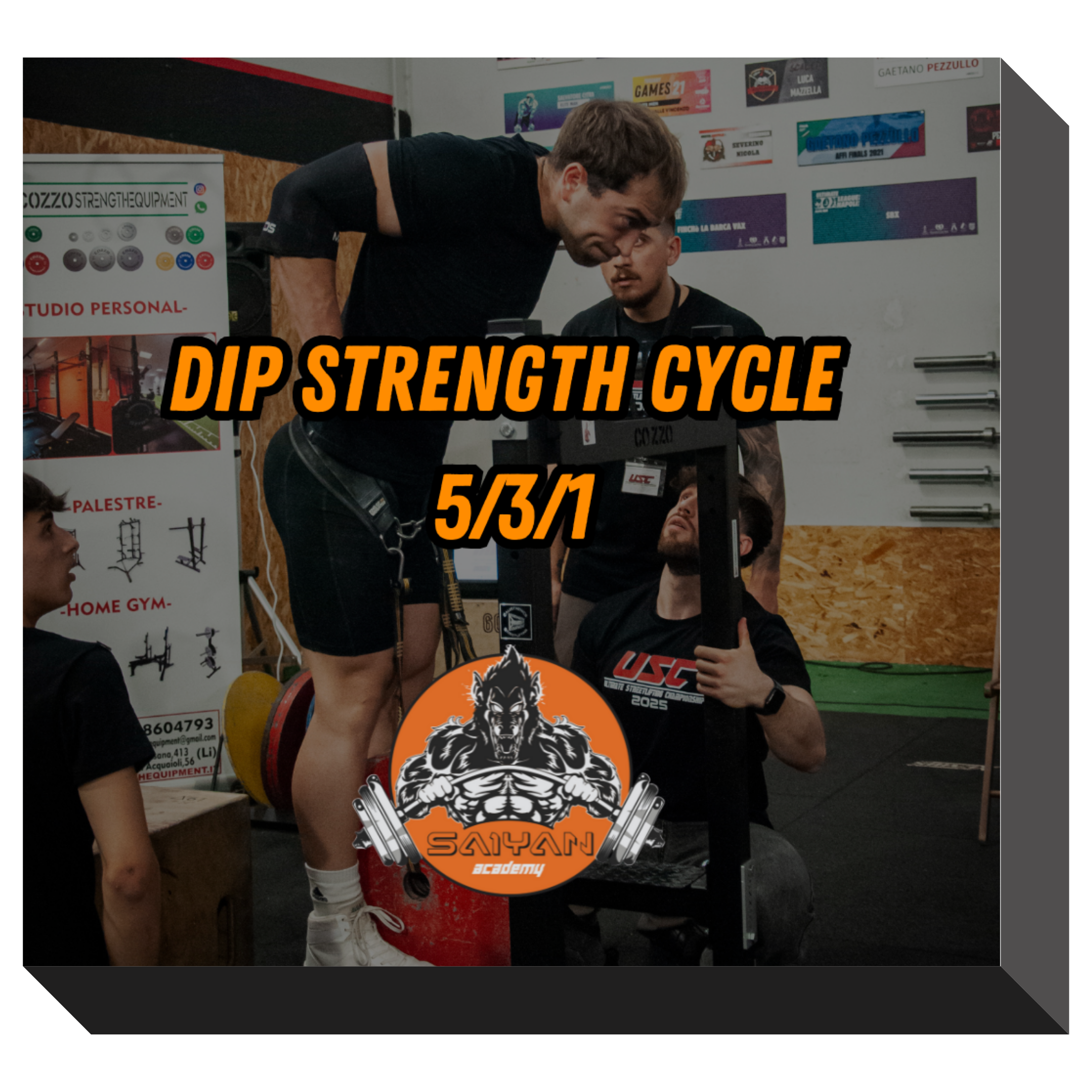 12 WEEKS DIP STRENGTH CYCLE 5\3\1