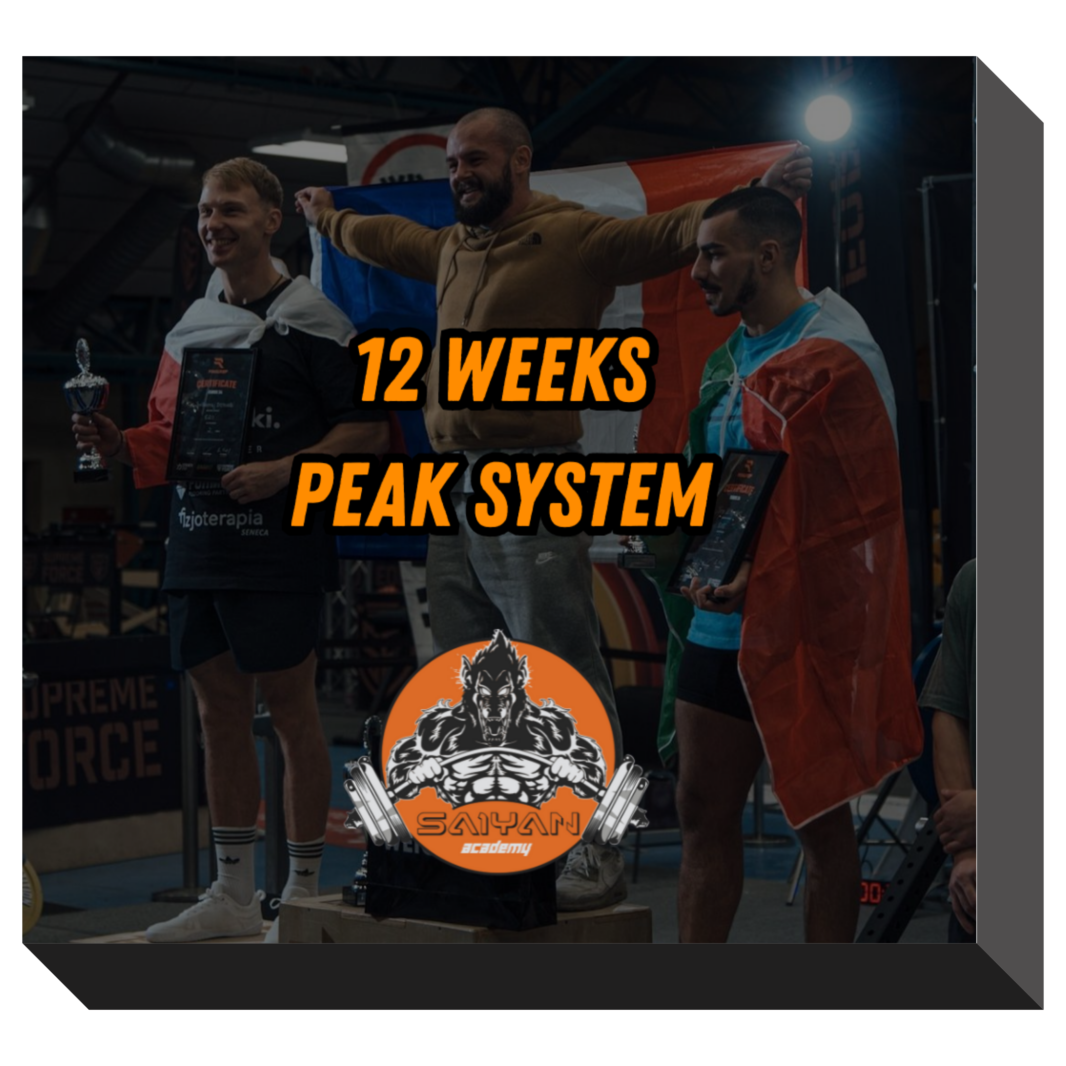 12 WEEKS PEAK SYSTEM