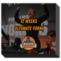 12 WEEKS ULTIMATE FORM