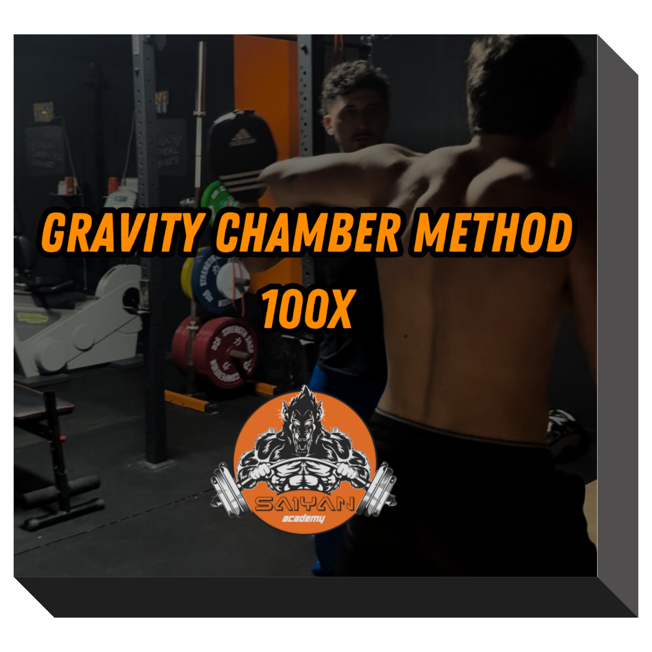 GRAVITY CHAMBER METHOD 100X
