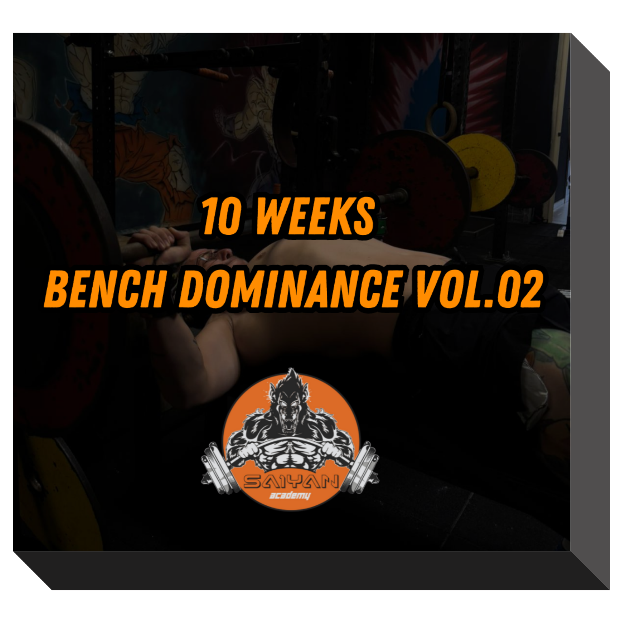 1O WEEKS BENCH DOMINANCE VOL.02