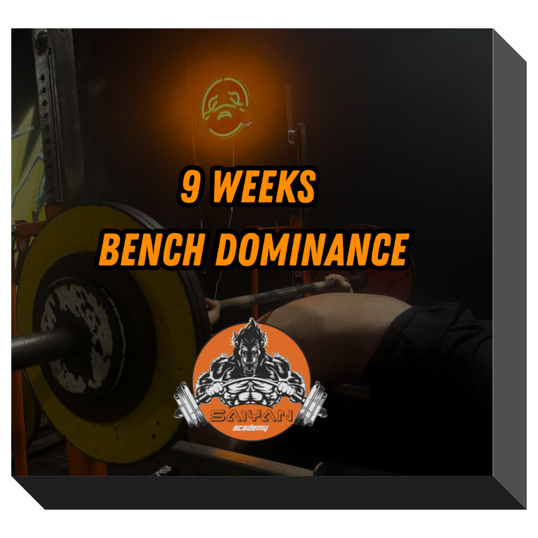 9 WEEKS BENCH DOMINANCE