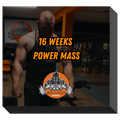 16 WEEKS POWER MASS