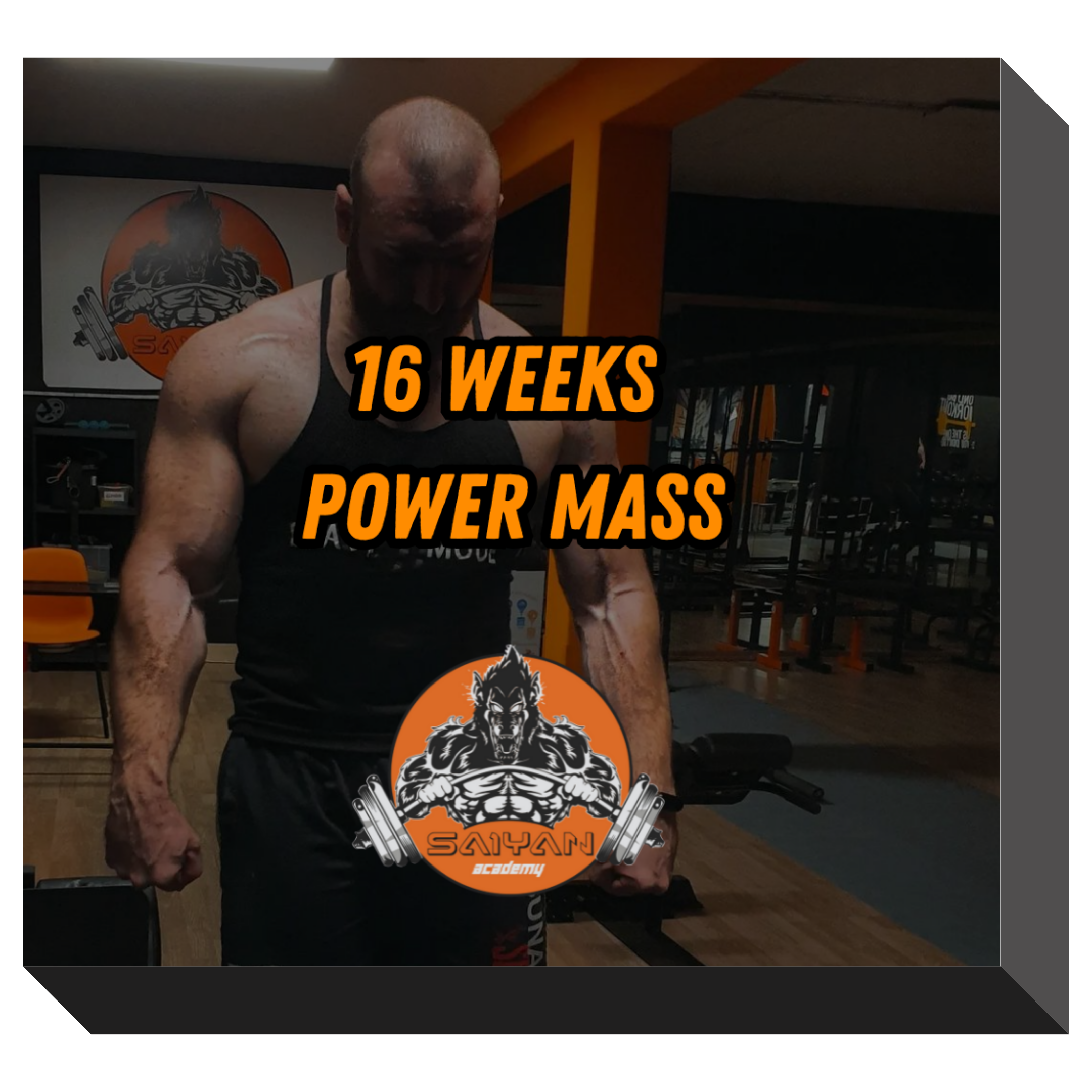 16 WEEKS POWER MASS