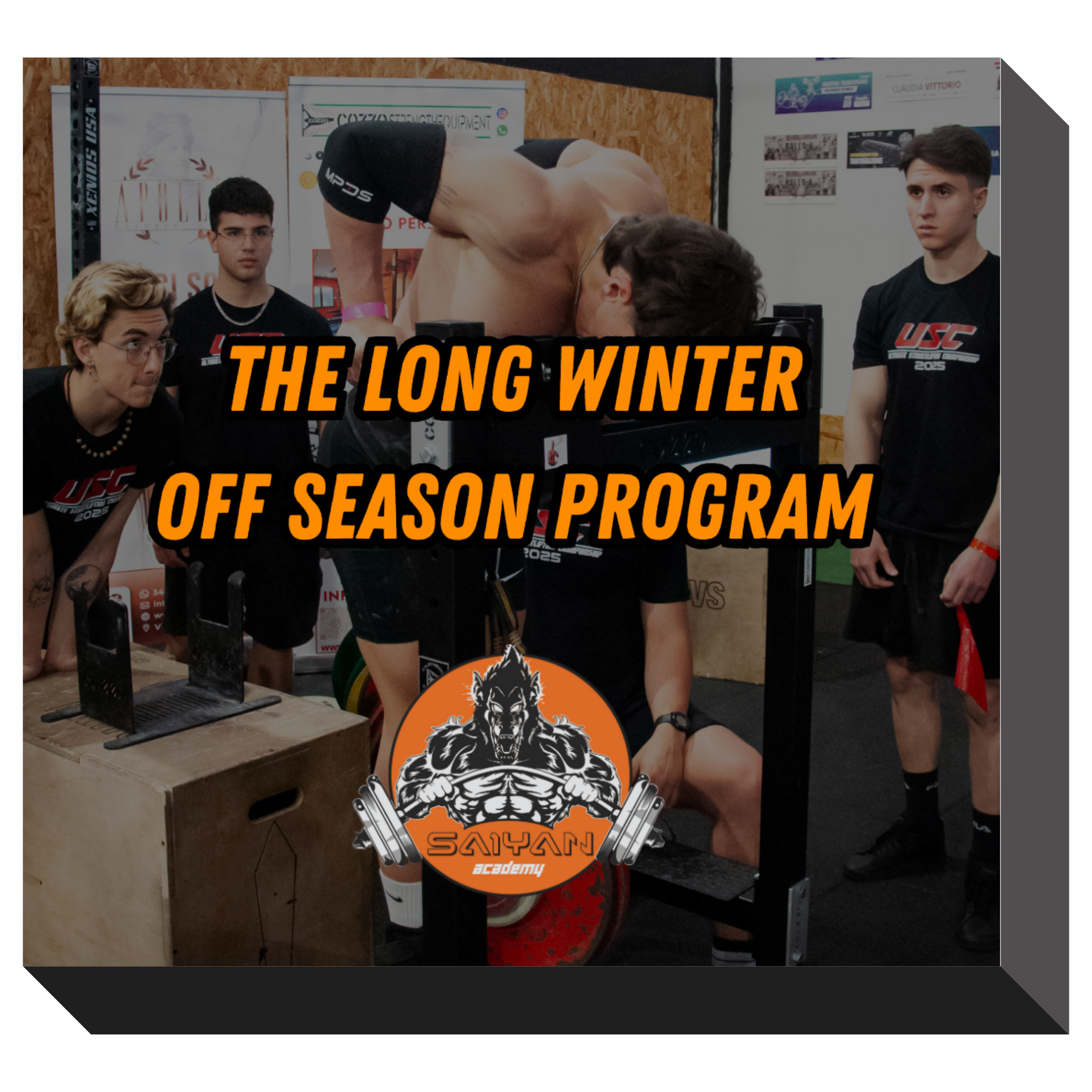 THE LONG WINTER OFF SEASON