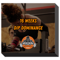 16 WEEKS DIP DOMINANCE
