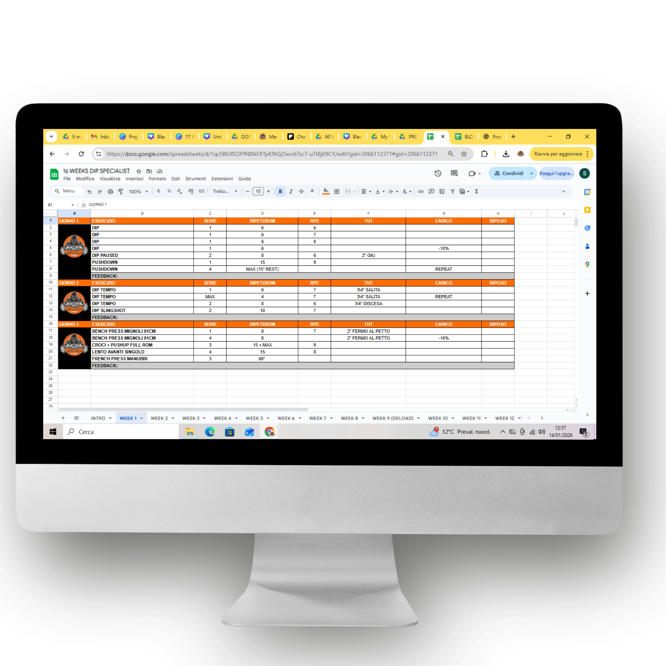 16 WEEKS DIP DOMINANCE