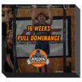 16 WEEKS PULL DOMINANCE