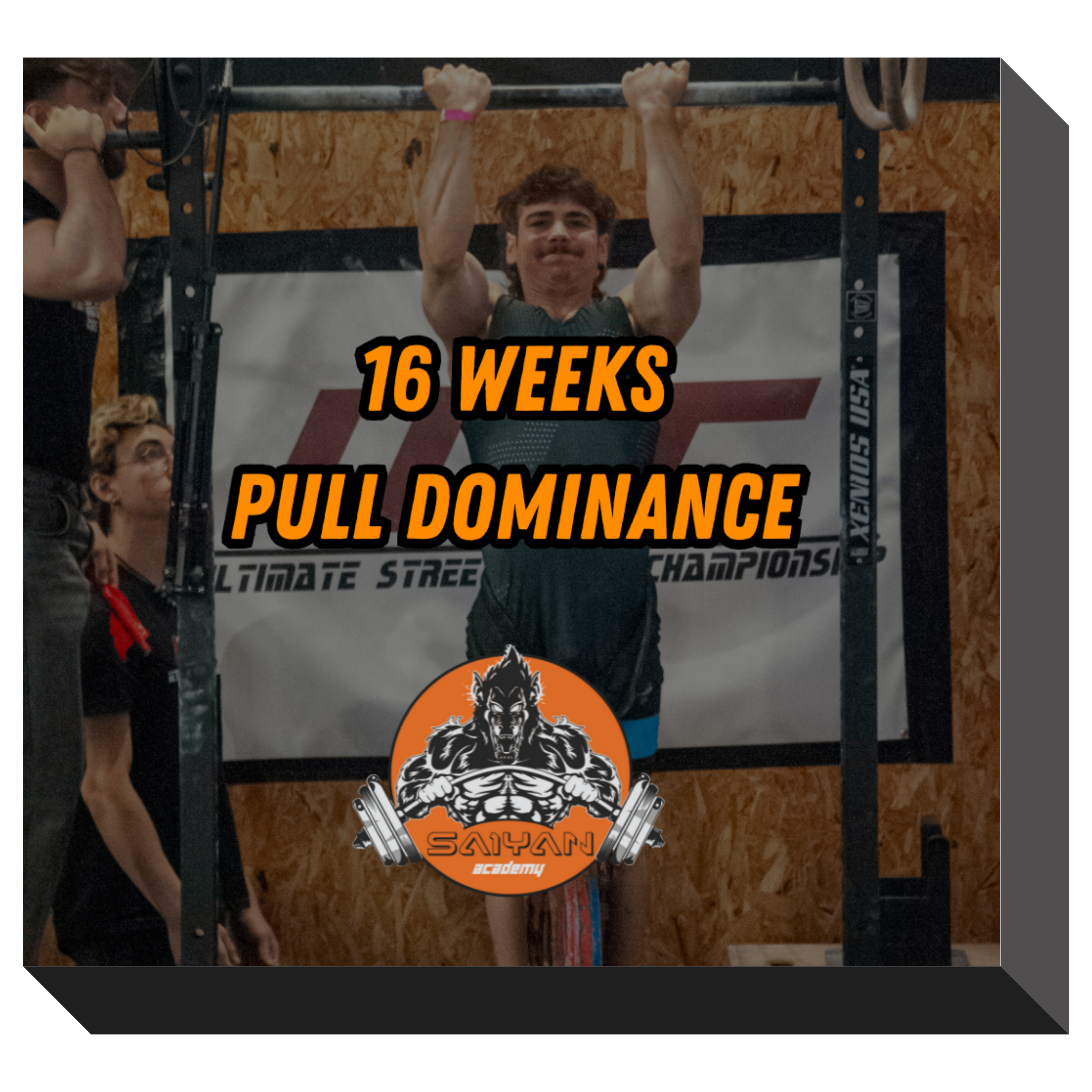 16 WEEKS PULL DOMINANCE