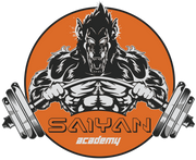 Saiyan Academy