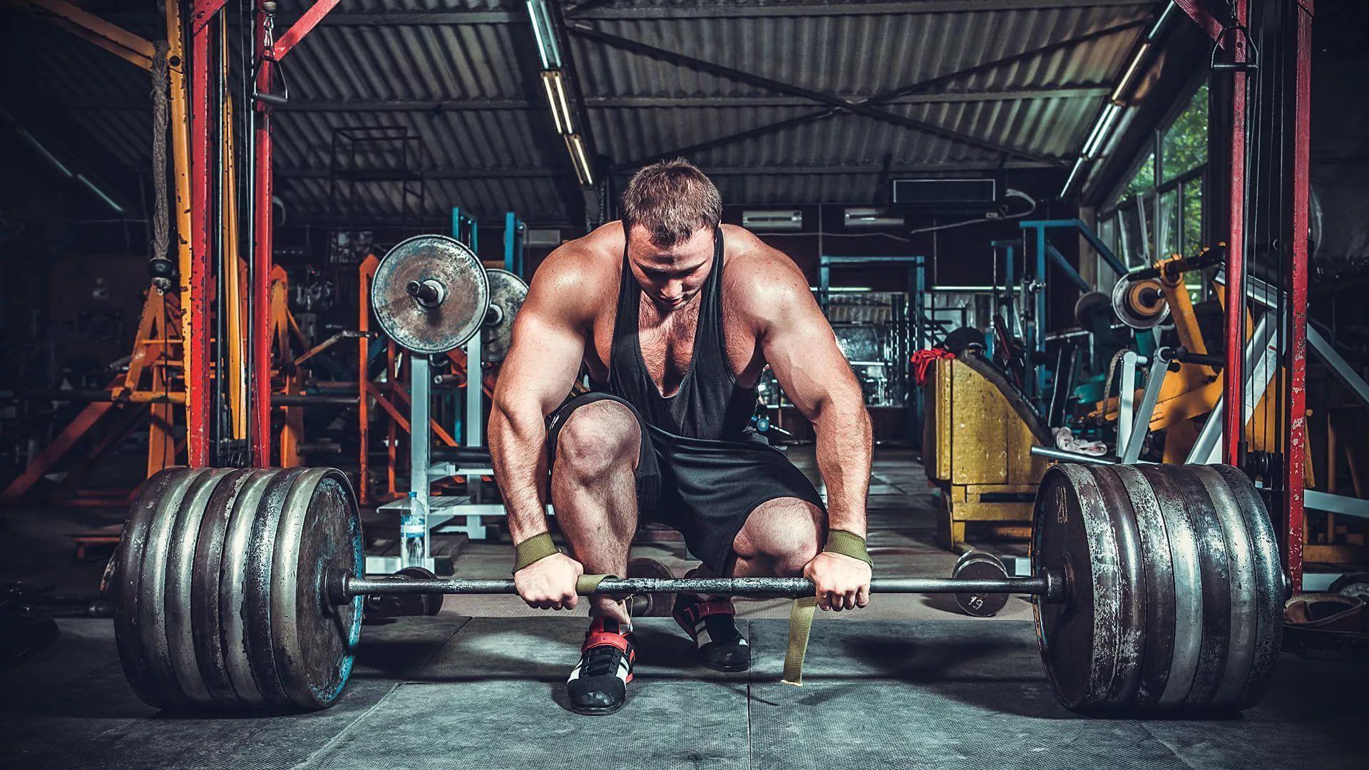 a-one-year-powerlifting-plan-for-beginners-to-advanced-lifters-813915_6d15f8d6-3457-43c2-ac4a-387c0db8edf9.jpg